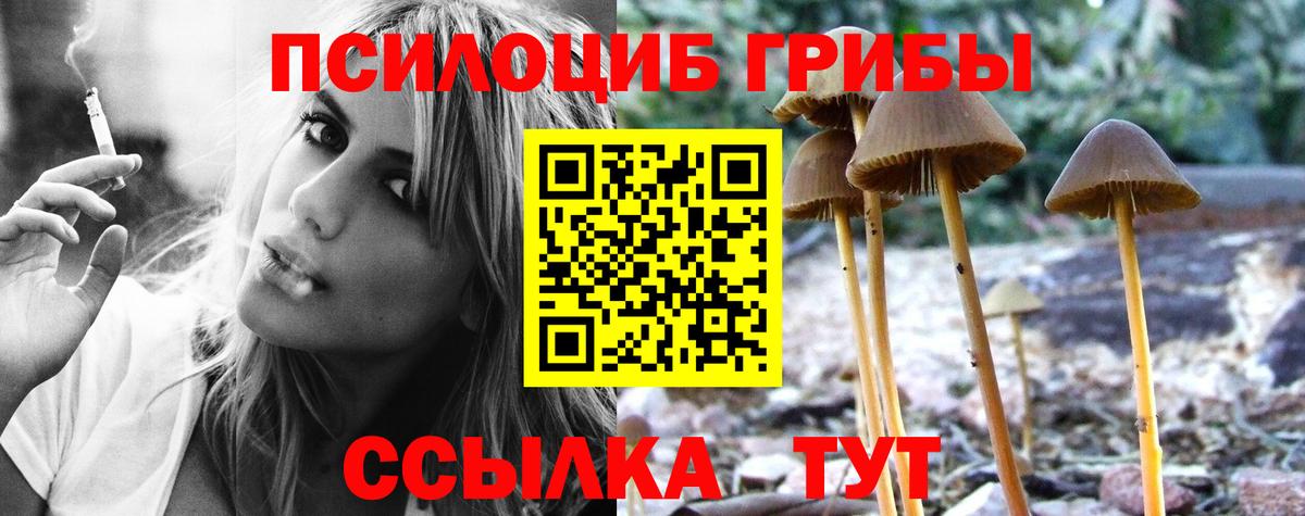 Псилоцибиновые грибы прущие грибы Воткинск